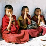 Young Monks